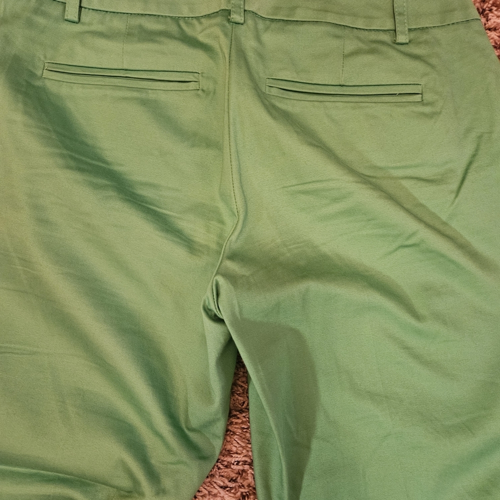 New York & Company Green Ankle Pants - Picture 8 of 8